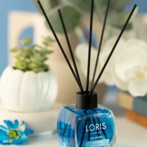 Loris Ocean Odorizant Camera 120 ml